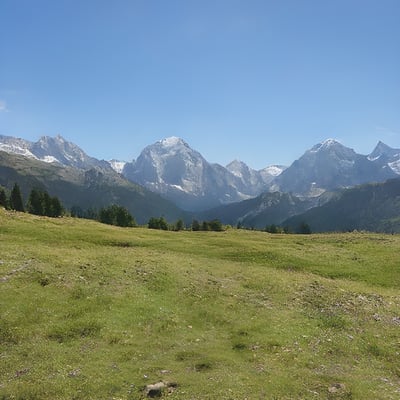 A grassy field with mountains in the background