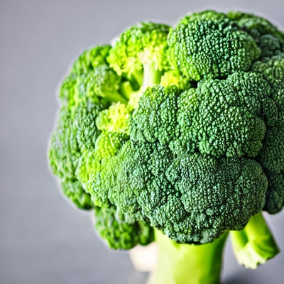 A close up of a piece of broccoli