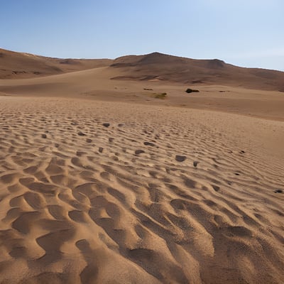 A sandy area with a blue sky in the background