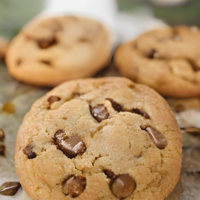 A close up of a chocolate chip cookie