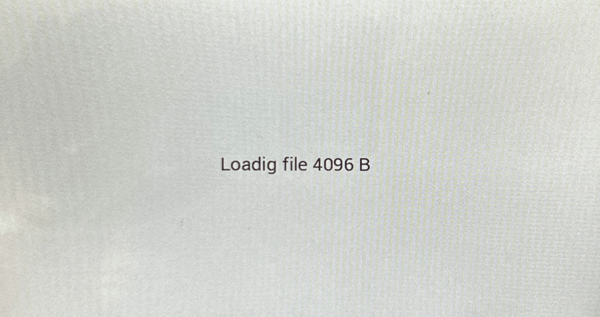 Loading firmware 1