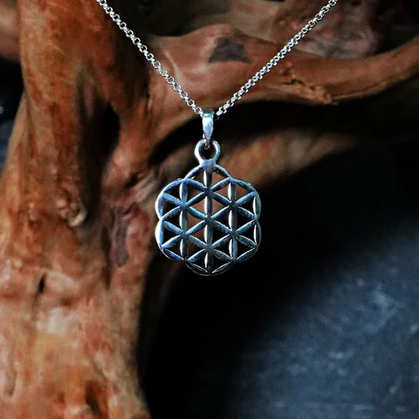 Seed of Life Pendant Small Silver