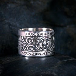 The Arete Ring Silver