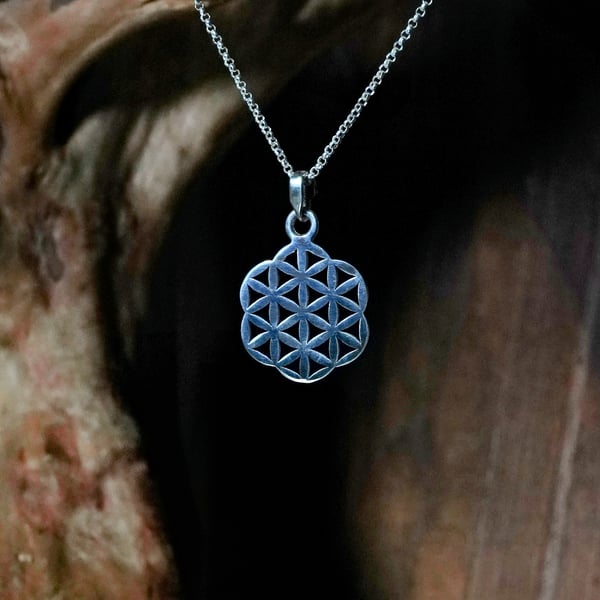Seed of Life Pendant Small Silver