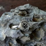 Customized Ancient Hebrew Seal Silver Ring