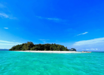 Krabi Tour : Join Tour Day Trip Phi Phi Island (Excluded National Park Fee)