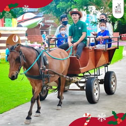 Family Park Pattaya Sheep Farm and Great & Grand Sweet Destination Pattaya - Thai Pass
