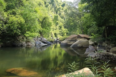 Join Tour Khao Sok Jungle Trek