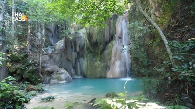 Chiang Mai: Bua Thong Sticky Waterfall and Huge Cave Tour