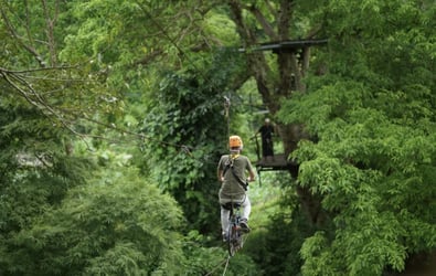 Chiang Mai: National Elephant Care & Fully Zipline with Van Transfer