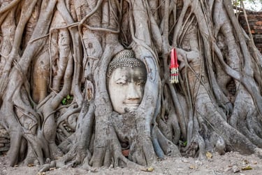 From Bangkok: Maeklong Railway Market, Floating Market and Ayutthaya Tour with English Guide - Thai Pass