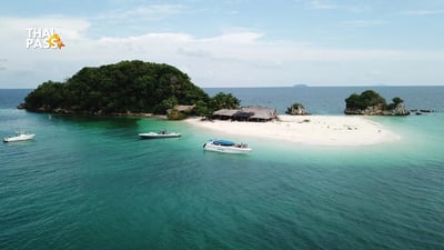 Phi Phi Island Day Trip Speedboat Tour with Transfer Included - Thai Pass