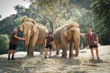 Elephant Jungle Sanctuary Tickets, Chiang Mai - Thai Pass