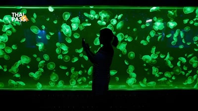 Underwater World Pattaya Ticket - Thai Pass