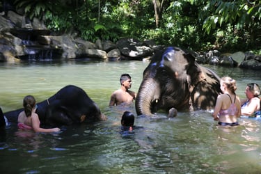 Khao Lak Safari Ticket