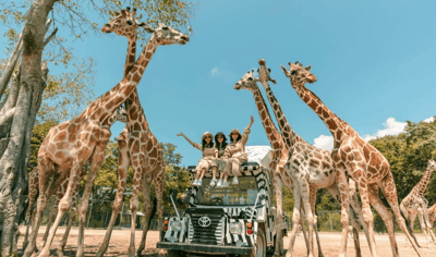 Safari World Bangkok Ticket with Shared Transfer