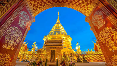 Day Tour Doi Suthep and Wat Umong Night Tour Plus, visit Wat Pa Lad