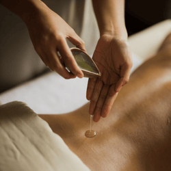 Plant Day Spa (Ploenchit Tower A) - Bangkok Thai Pass