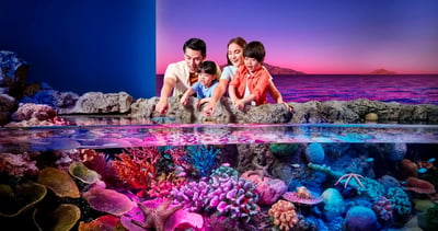 Sealife Bangkok and Madame Tussauds Bangkok Combo Ticket