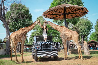 Sriayuthaya Lion Park3.jpg