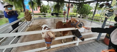 Hua Hin Day Tour - Thai Pass