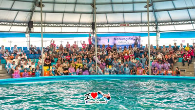Dolphin Bay (Phuket Dolphin Show) Ticket - Thai Pass