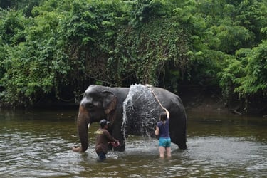 From Bangkok : Elephant Sanctuary & Kanchanaburi Highlights Tour - Thai Pass