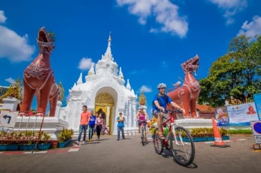 Chiang Mai E-bike Countryside Ride and Baddish Temple Guide Tour