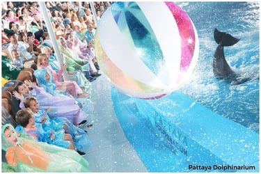 Pattaya Dolphinarium Tickets - Thai Pass