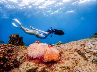 Pattaya Island Tour European Beach Experience (Koh Larn) - Pattaya Beach Thai Pass