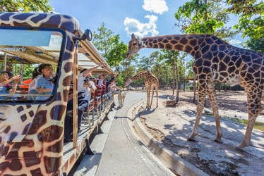 Chiang Mai Night Safari with Shared Transfer