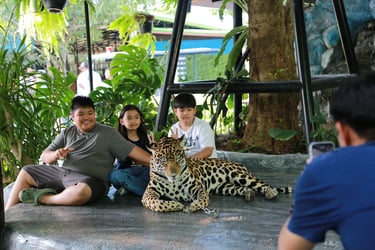 Sriayuthaya Lion Park6.jpg