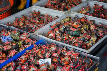 From Bangkok: Maeklong Railway Market and Damnoensaduak Floating Market with English Guide - Thai Pass