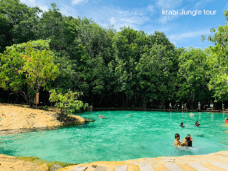 Join Tour Jungle Day Tour Hot Spring + Emerald Pool + Lunch Set + Tiger Cave Temple (Excluded National Park Fee)
