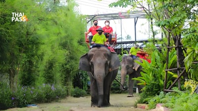 Siri Park and Zoo by Sriracha Zoo Ticket , Pattaya - Thai Pass