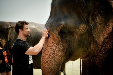 Elephant Jungle Sanctuary Ticket, Koh Samui - Thai Pass