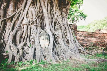 Ayutthaya Grand Pearl River Cruise Tour