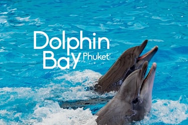 Dolphin Bay (Phuket Dolphin Show) Ticket