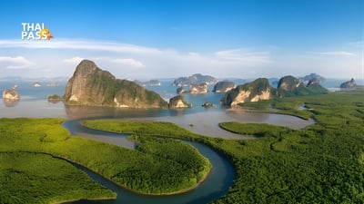 Phang Nga Bay and Hong Island Day Trip with Share Transfer - Thai Pass