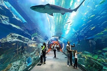 Underwater World Pattaya with Private Transfer - Thai Pass
