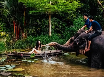 Mong Chang Café Pattaya - Thai Pass