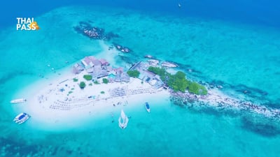 Maithon Island, Phi Phi Island, Maya Beach and Khai Island Tour by Speedboat/Speed Catamaran