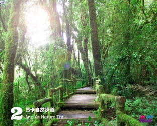 Chiang Mai: Doi Inthanon National Park One Day Tour - Thai Pass