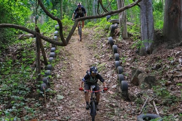 Half Day Mountain Bike