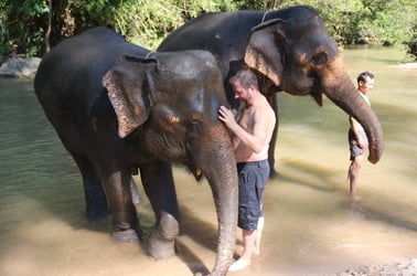 Hug Elephant Sanctuary Ticket, Chiang Mai - Thai Pass