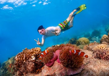 Pattaya Island Tour European Beach Experience (Koh Larn) - Pattaya Beach Thai Pass