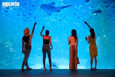 Aquaria Phuket Tickets - Thai Resident (Incl Expats)