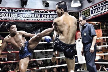 Chiang Mai Thaphae Boxing Stadium Ticket - Thai Pass