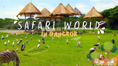 Safari World Bangkok with Shared Transfer Service
