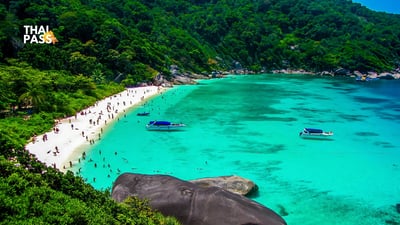 Similan Island Tour by Once Yachting Phuket - Thai Pass